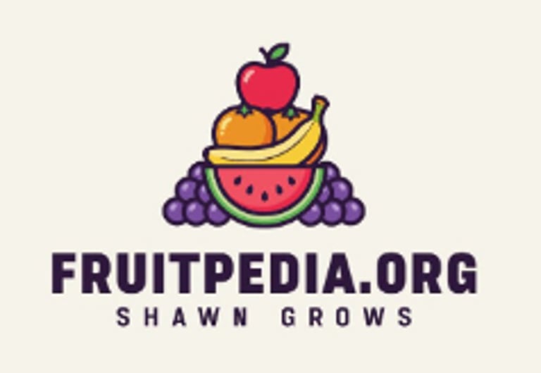VerduraVista logo