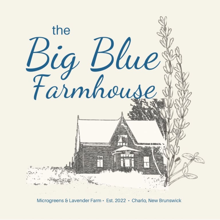 Big Blue Farmhouse logo