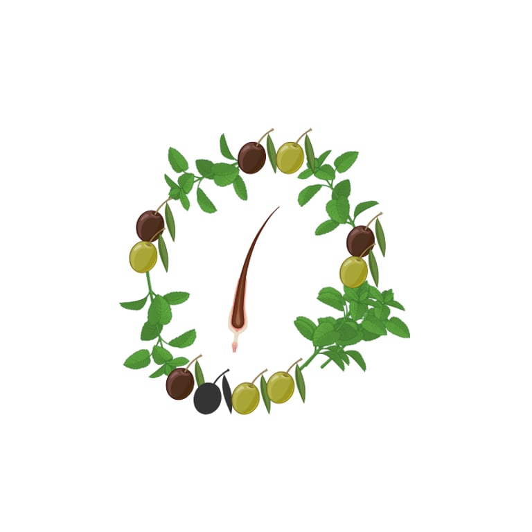 LE SECRET VERT Cosmétique logo