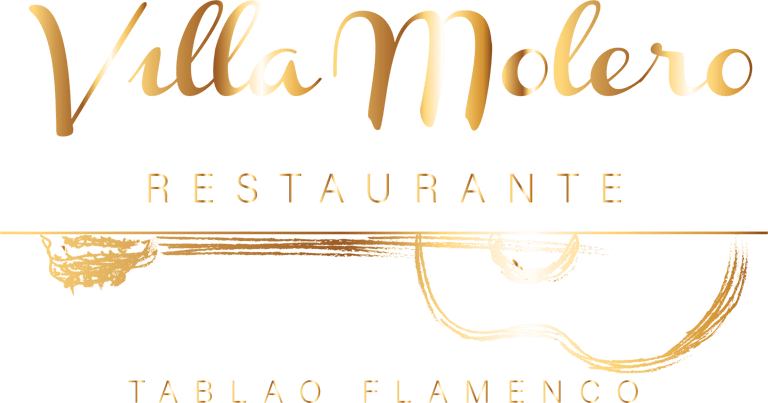 Villamolero logo