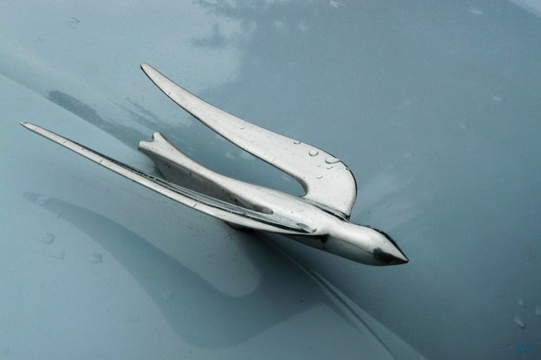 Aronde éprise de liberté.R.Fouassier, les Phares Jaunes, Château-Gontier, Kiosque à Image, Photographie