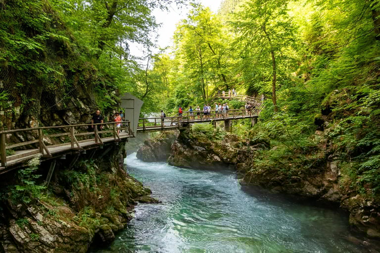 Gorges de VINTGAR  - Jean Charles Plaçais