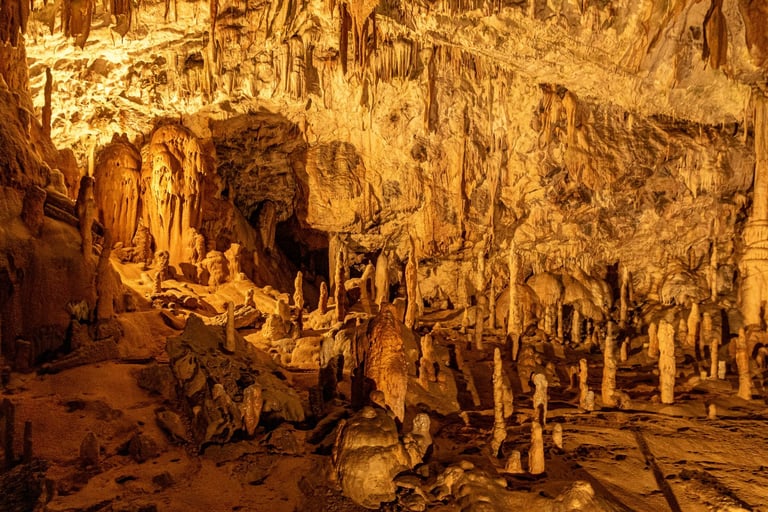 Grotte de POSTJANA - Jean Charles Plaçais