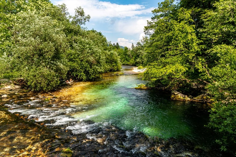 Torrent SLOVENIE - Jean Charles Plaçais