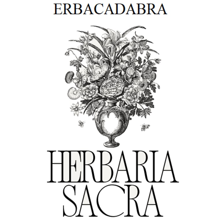 Luana Ambrosino logo