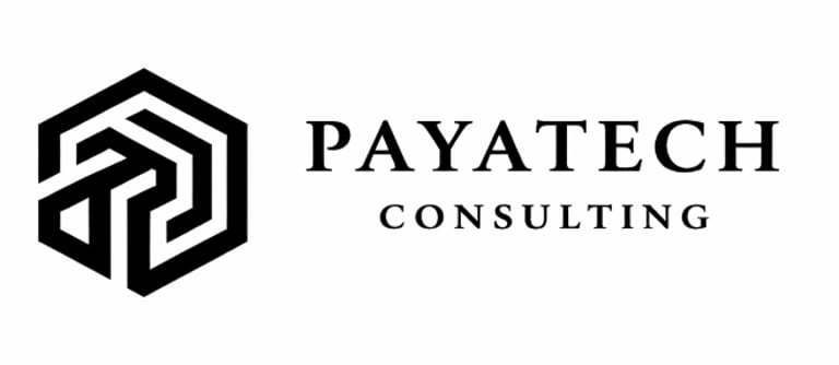 Payatech Consulting logo