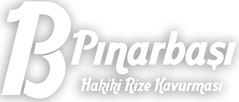 Pinarbaşı Logo beyaz