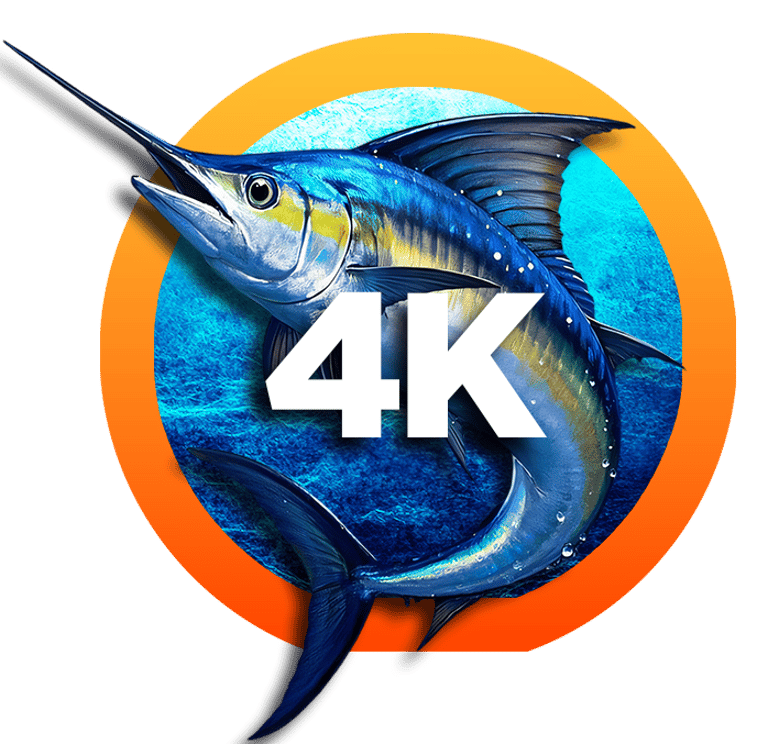 IM CRUCE AL ARCO 4K