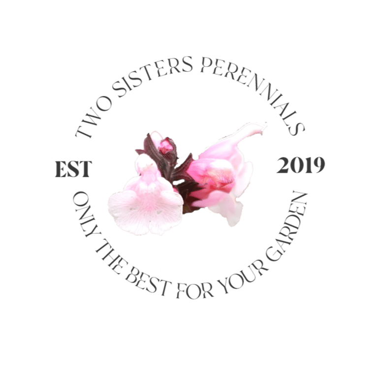 Two Sisters Perennials logo