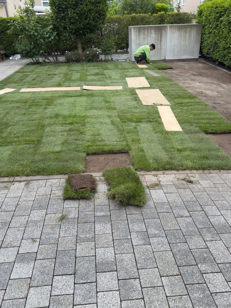 Landscaper installing fresh green sod rolls for a new lawn in a residential backyard.