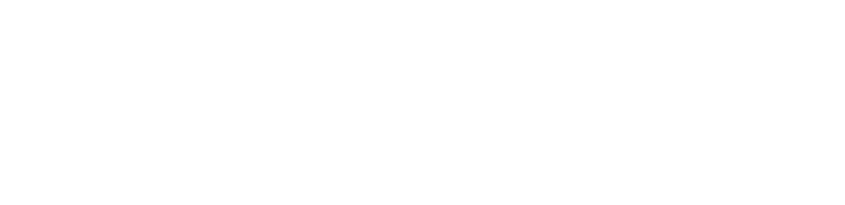 Official eBook logo