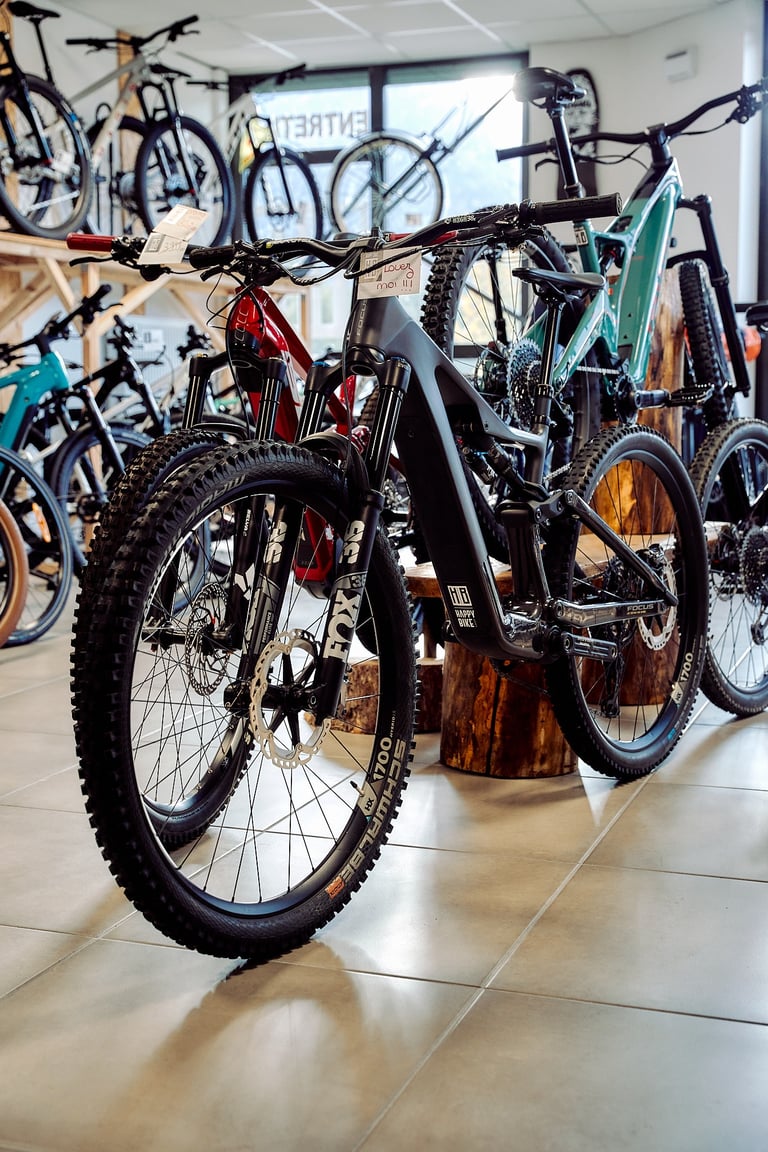 VTT sunn bike à la vente chez happybike