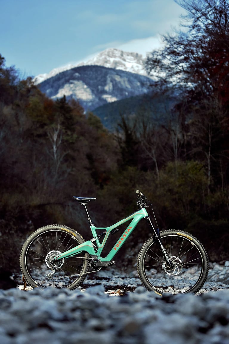 Vélo Forestal prise en photo lors d&amp;amp;amp;amp;amp;amp;amp;#x27;une sortie en montagne 
