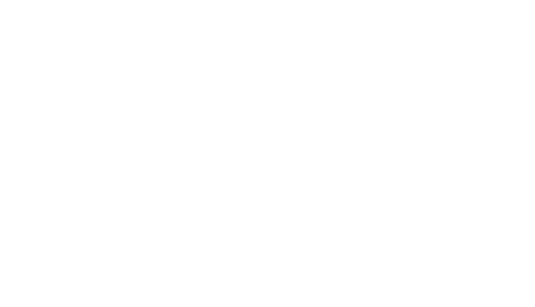Leorizon logo