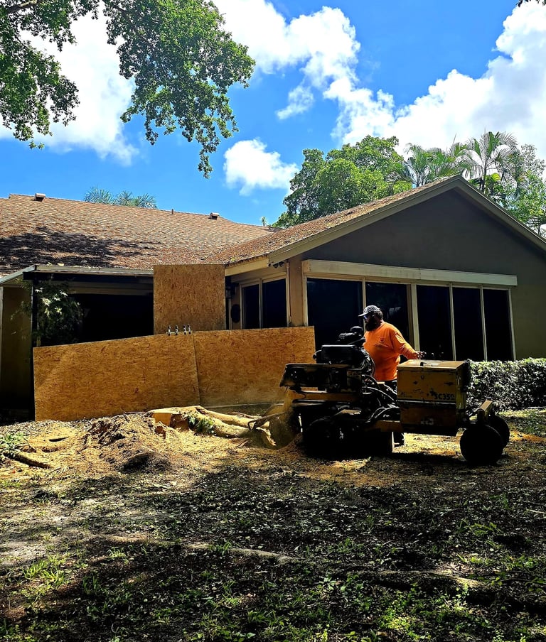 Professional arborist using a yellow stump grinder machine to remove a tree stump in a residential backyard.