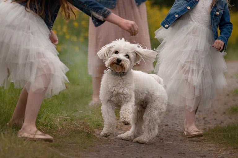 sesja rodzinna z psem Wadowice