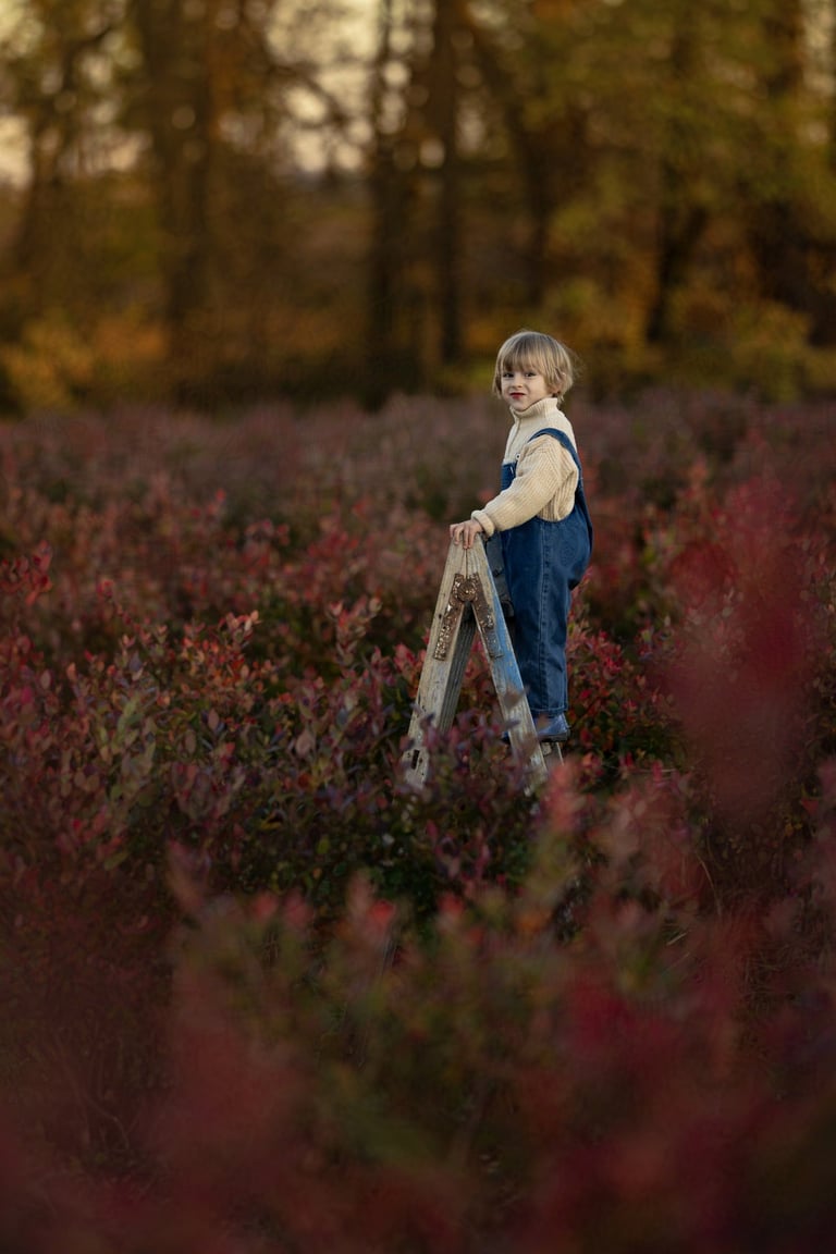 Naturalna sesja rodzinna w plenerze Joanna Sordyl Fotografia Andrychów.