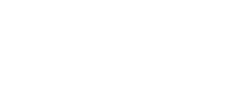 Srinova Capital logo