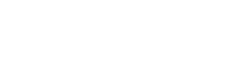 Dimpla logo