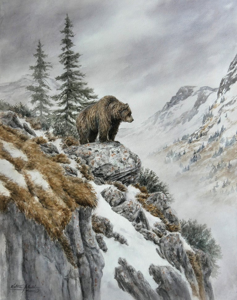 Présentation de la galerie "Terre". Tableau "L'ours" technique, aquarelle.