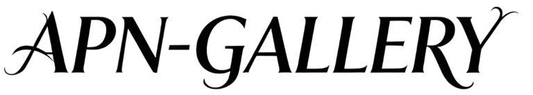 APN-GALLERY logo