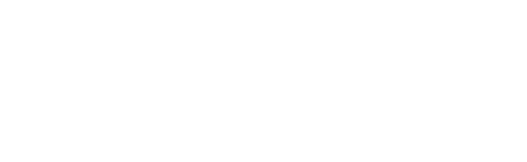 Blvnk Canvas Co. logo