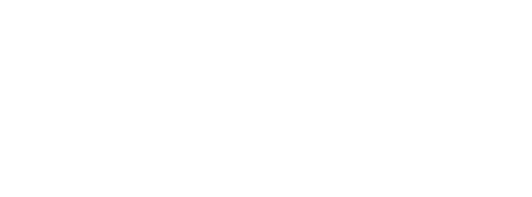 Lavish Impex | Manufacturing, Sourcing & Export Company logo