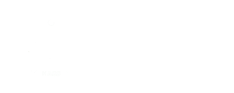 Health Action in South Sudan logo