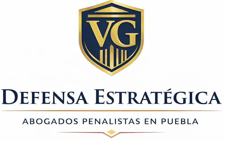 VG Defensa Estratégica Abogados Penalistas Puebla  logo