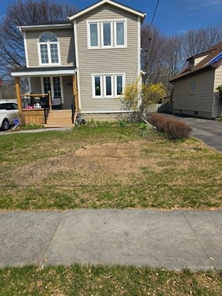 Stump removal complete