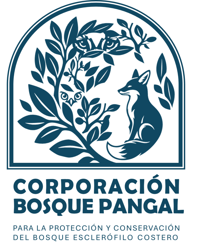 Bosque Pangal logo