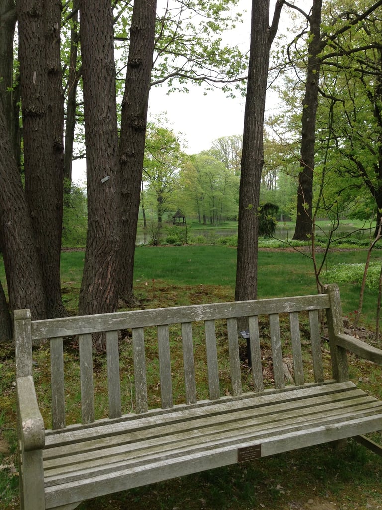A bench beneath trees in a garden.