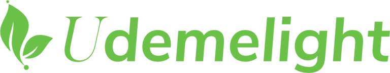 Udeme Light Charity Foundation logo