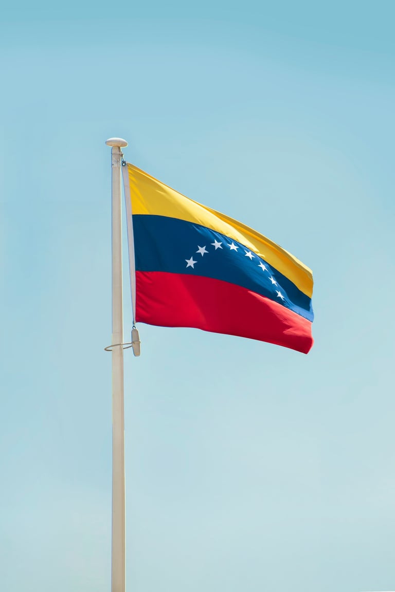 Experiencia legal venezolana