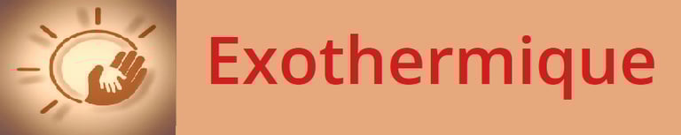 Exothermique.com logo