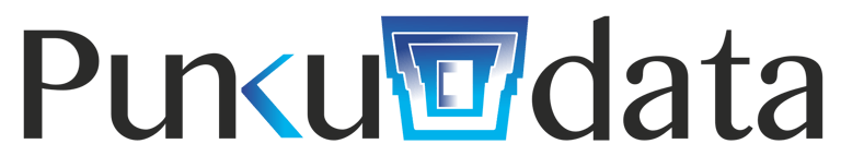 PUNKUDATA logo