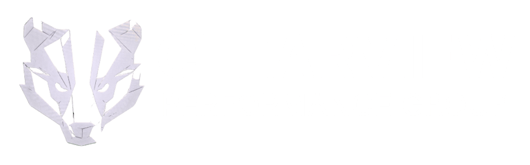 Clearview Performance Group logo