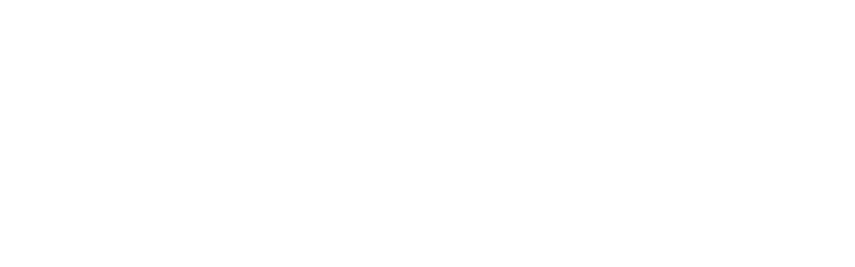 Molen De Lelie Ommen logo