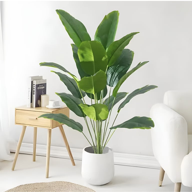 Indoor green plant in white pot for modern cozy home decor inspiration