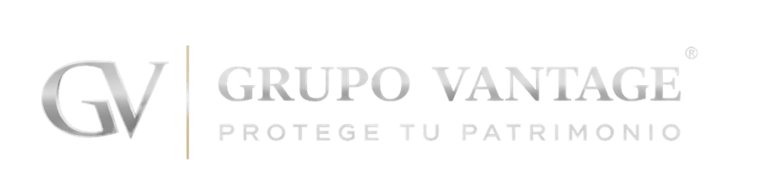 Grupo Vantage logo
