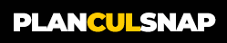 Planculsnap logo