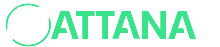 Villi Mattana - Gestor de Tráfego e Landing Pages logo