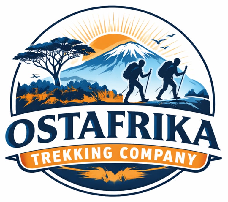 Kilimandscharo-Besteigungstour und Safari in Tansania | Tansania-Safaris, Kilimandscharo-Besteigungen und Sansibar-Touren mit erfahrenen Guides. logo