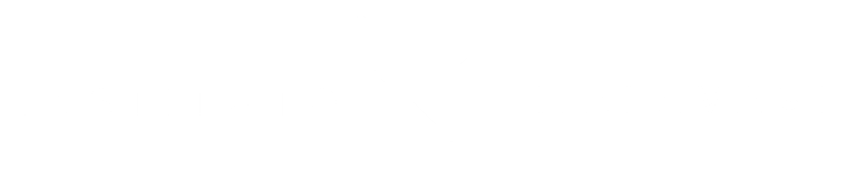 Instituto Malavasi logo