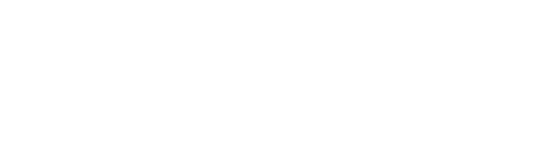 Phoenix Fitness Center logo