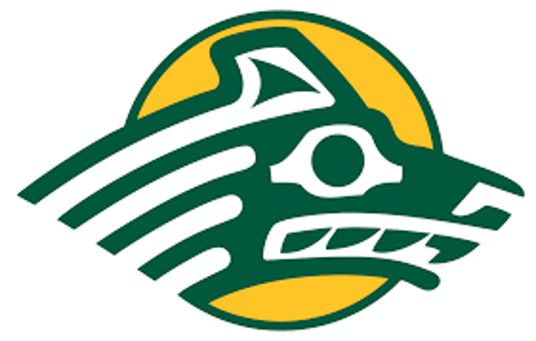 UAA Hockey Jerseys logo