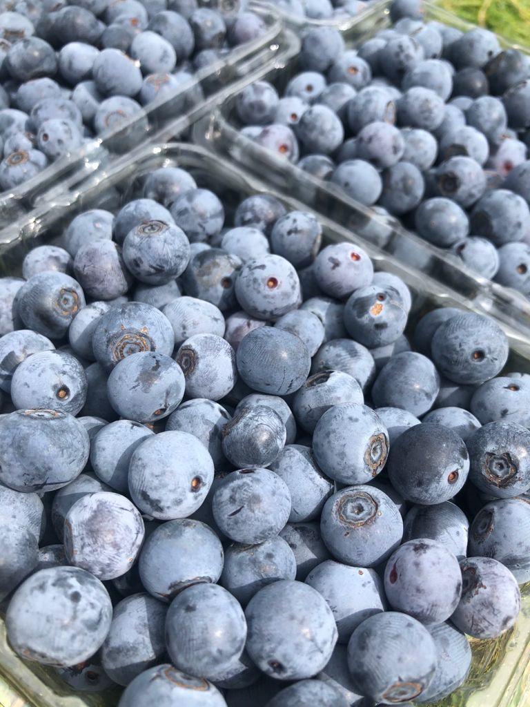 Primer plano de arándanos orgánicos frescos en envases de plástico transparente en un mercado local 