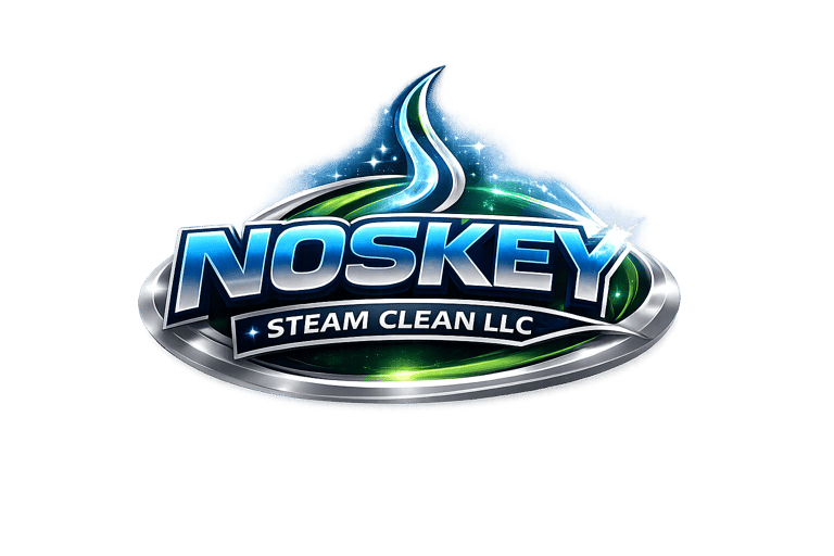 Noskey Steam Clean logo