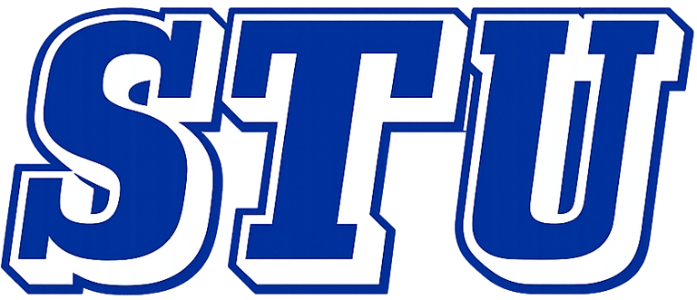 Security Technology Unlimited logo