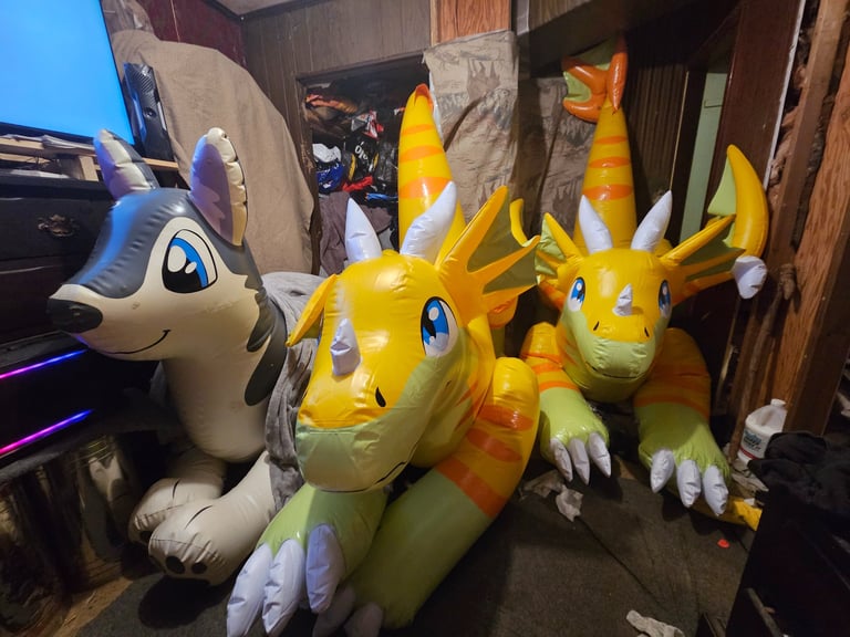 Our newest family members, Colby and Cheddar.. Cheese Dragons